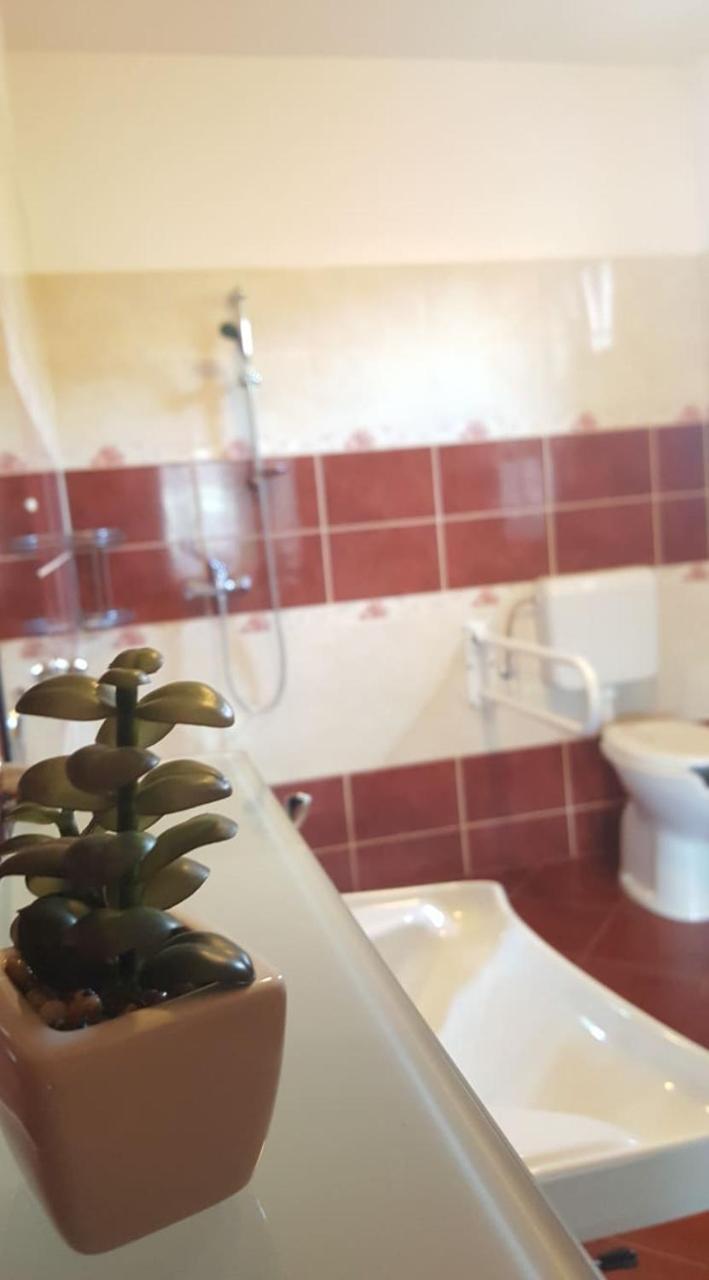 מלון Tornyosnémeti Bajusz Vendeghaz מראה חיצוני תמונה